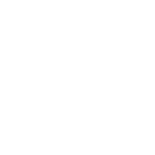 Yelum — Parceira Oficial Soluzi